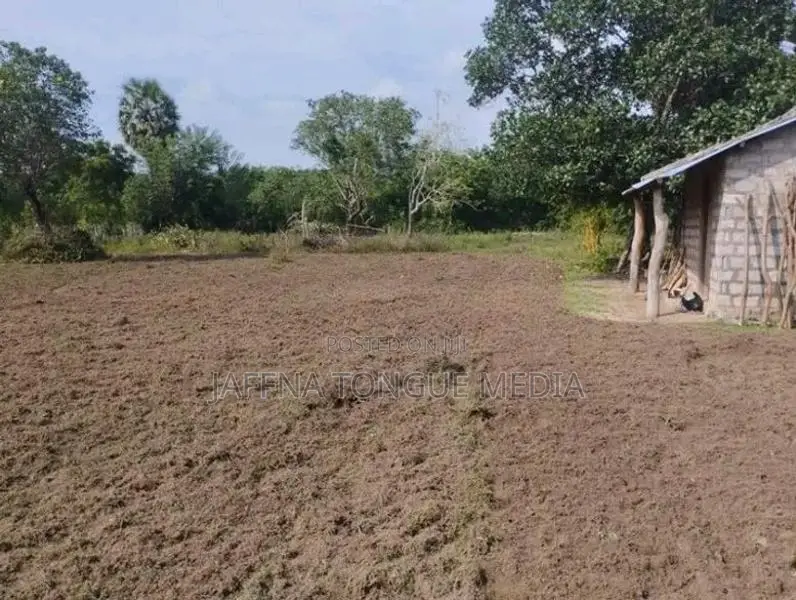 Land for Sale Kilinochchi