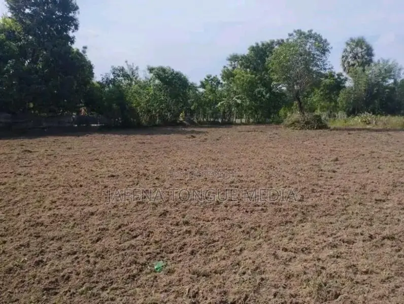 Land for Sale Kilinochchi