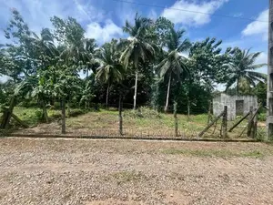 Land for Sale in Welmilla