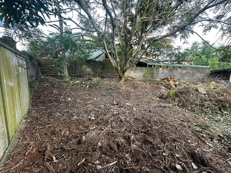 Prime Elevated Land for Sale – Kottawa Makumbura