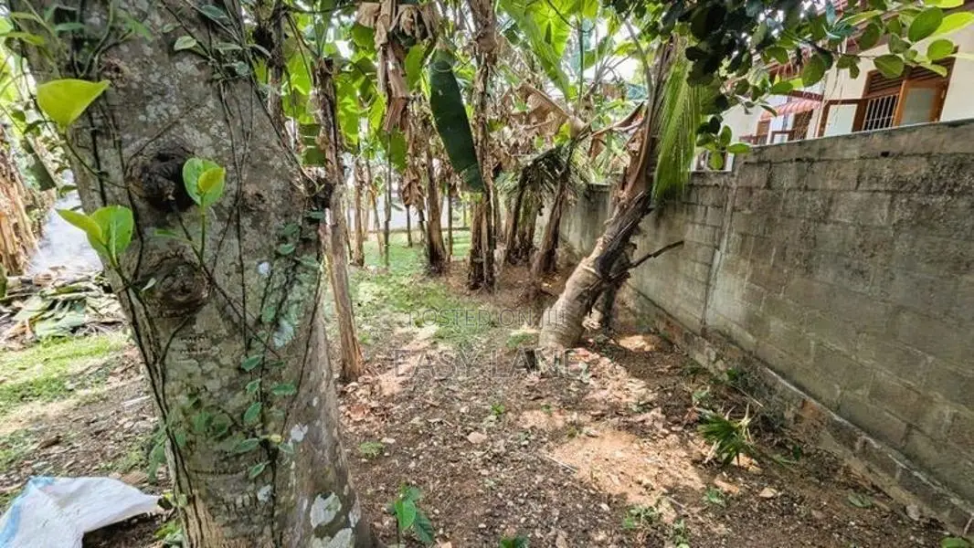 වැලිවේරිය නගරයට ආසන්නයෙන් වටිනා බිම් කොටසක්