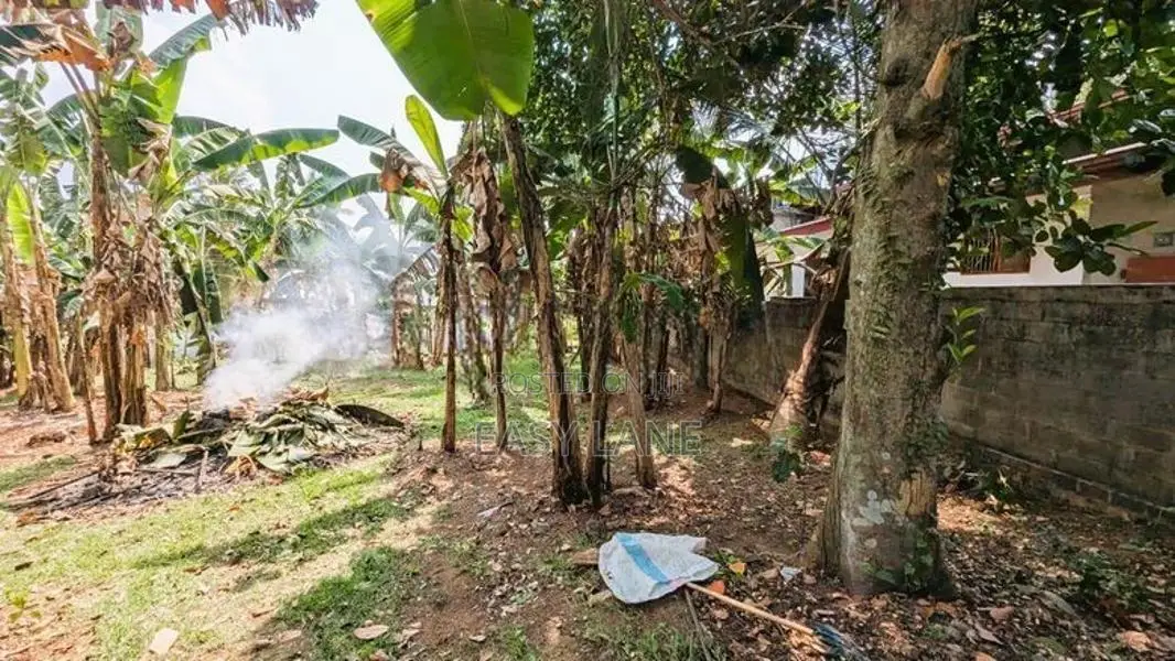 වැලිවේරිය නගරයට ආසන්නයෙන් වටිනා බිම් කොටසක්