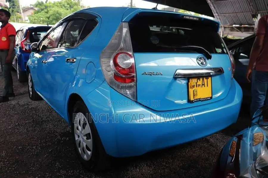 Toyota Aqua S GREDE 2013