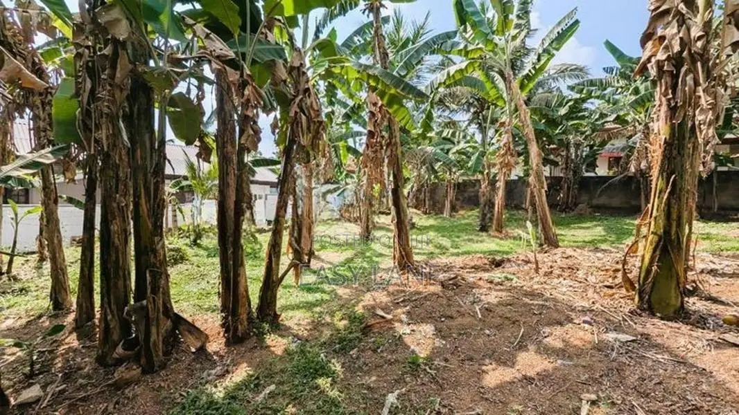 වැලිවේරිය නගරයට ආසන්නයෙන් වටිනා බිම් කොටසක්