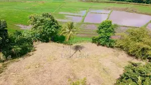 පල්ලෙවෙල දුම්රිය ස්ථානයට ලගින් සුන්දර වෙල්යායකට මායිම් බිම් කොටස් 2ක්