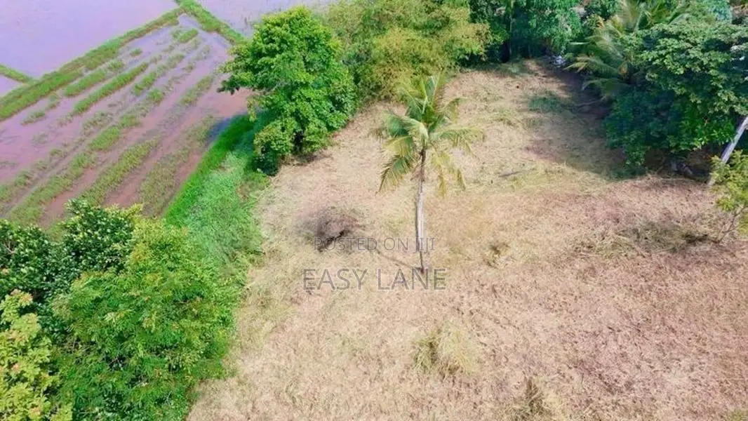 පල්ලෙවෙල දුම්රිය ස්ථානයට ලගින් සුන්දර වෙල්යායකට මායිම් බිම් කොටස් 2ක්