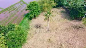 පල්ලෙවෙල දුම්රිය ස්ථානයට ලගින් සුන්දර වෙල්යායකට මායිම් බිම් කොටස් 2ක්