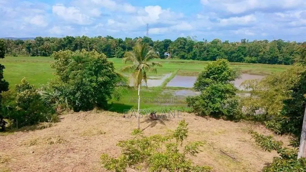 පල්ලෙවෙල දුම්රිය ස්ථානයට ලගින් සුන්දර වෙල්යායකට මායිම් බිම් කොටස් 2ක්