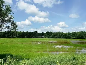 පල්ලෙවෙල දුම්රිය ස්ථානයට ලගින් සුන්දර වෙල්යායකට මායිම් බිම් කොටස් 2ක්
