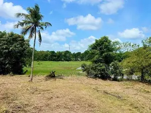 පල්ලෙවෙල දුම්රිය ස්ථානයට ලගින් සුන්දර වෙල්යායකට මායිම් බිම් කොටස් 2ක්