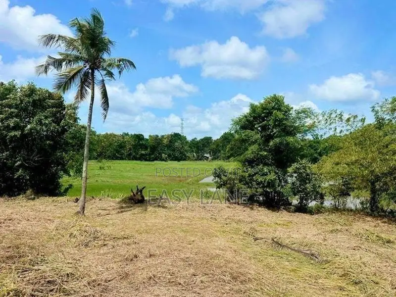 පල්ලෙවෙල දුම්රිය ස්ථානයට ලගින් සුන්දර වෙල්යායකට මායිම් බිම් කොටස් 2ක්