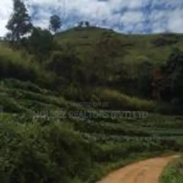 Valuable 10 Acre Property for Sale – Idalgashinna Border Area