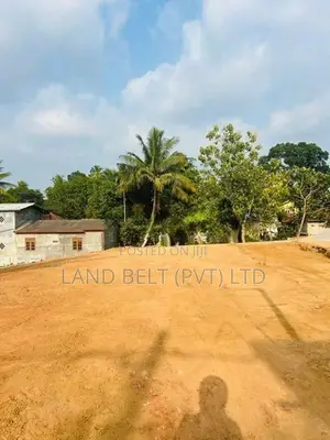 හයිලෙවල් පාරට නුදුරින් ඉඩමක් විකිණීමට මාකුඹුර