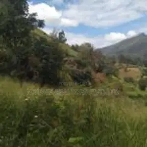 Valuable 10 Acre Property for Sale – Idalgashinna Border Area