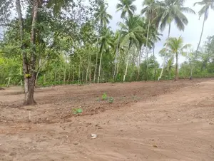 Luxury Land Plots for Sale in Tangalle, Kadurupokuna