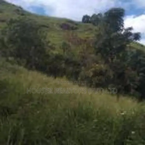 Valuable 10 Acre Property for Sale – Idalgashinna Border Area
