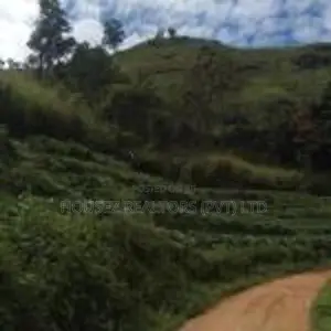 Valuable 10 Acre Property for Sale – Idalgashinna Border Area