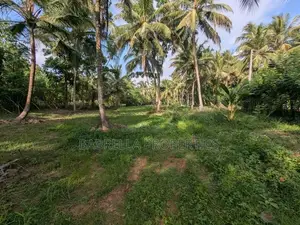 232P Land with Coconut Trees - Wariyapola, Keenagaspitiya