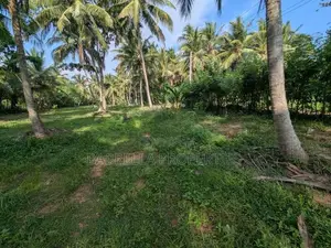 232P Land with Coconut Trees - Wariyapola, Keenagaspitiya