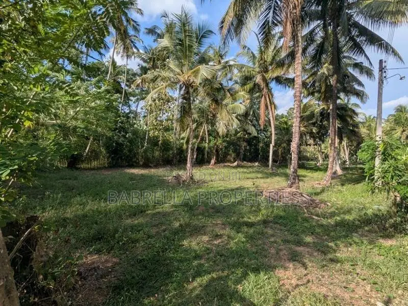 232P Land with Coconut Trees - Wariyapola, Keenagaspitiya