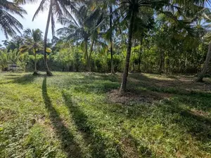 232P Land with Coconut Trees - Wariyapola, Keenagaspitiya