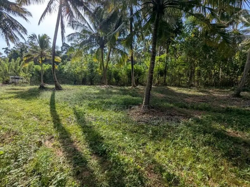 232P Land with Coconut Trees - Wariyapola, Keenagaspitiya