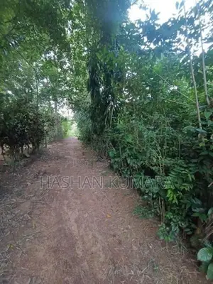 Land for Sale Dewalapola Minuwangoda
