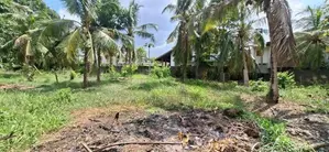 Land for Sale Boralesgamuwa