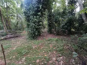 Land for Sale Dewalapola Minuwangoda