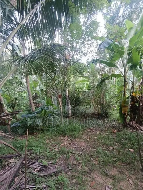 Land for Sale Dewalapola Minuwangoda