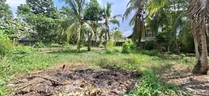 Land for Sale Boralesgamuwa