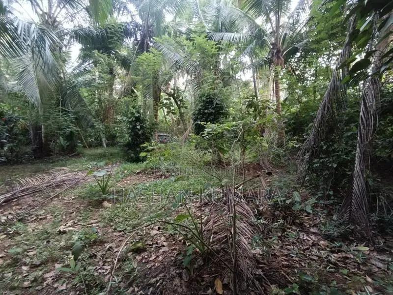 Land for Sale Dewalapola Minuwangoda