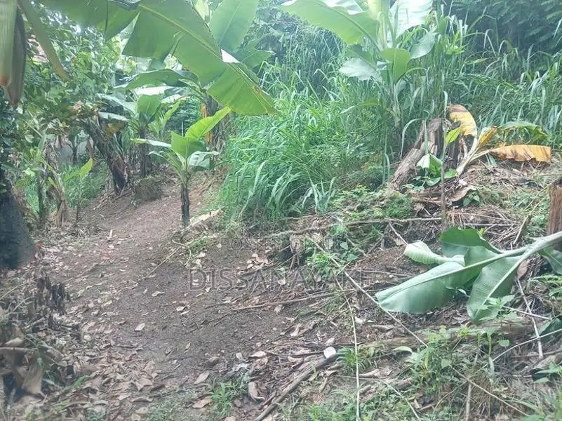 Land for Sale in Badulla City Limit, Pinarawa