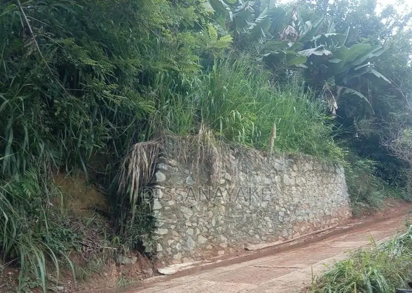 Land for Sale in Badulla City Limit, Pinarawa