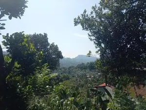 Land for Sale in Badulla City Limit, Pinarawa