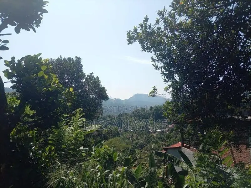 Land for Sale in Badulla City Limit, Pinarawa