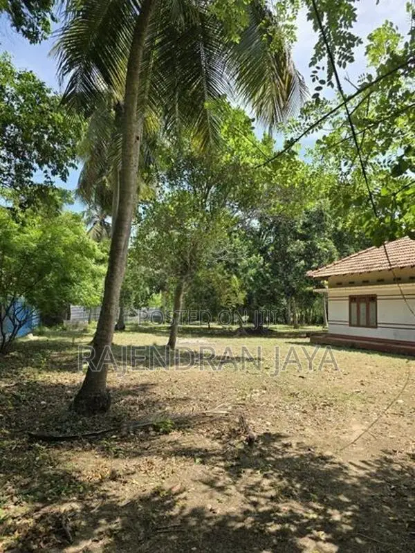 House with 5.75 Perch Land for Sale in Vaddukkodai