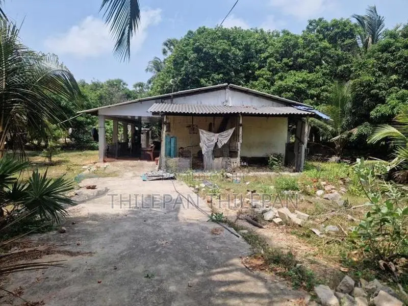 House for Rent in Chavakacheri