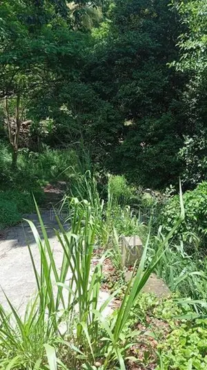 Land for Sale Kandy