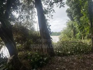 Kalutara 24 Perch Land