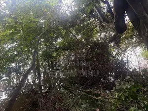 Kalutara 24 Perch Land