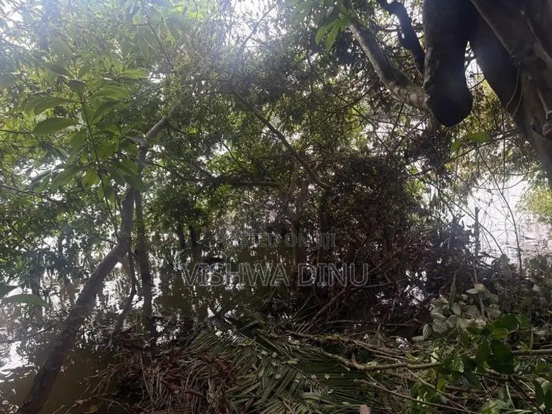 Kalutara 24 Perch Land