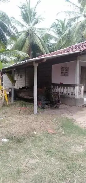 Coconut land for sale in Puttalam