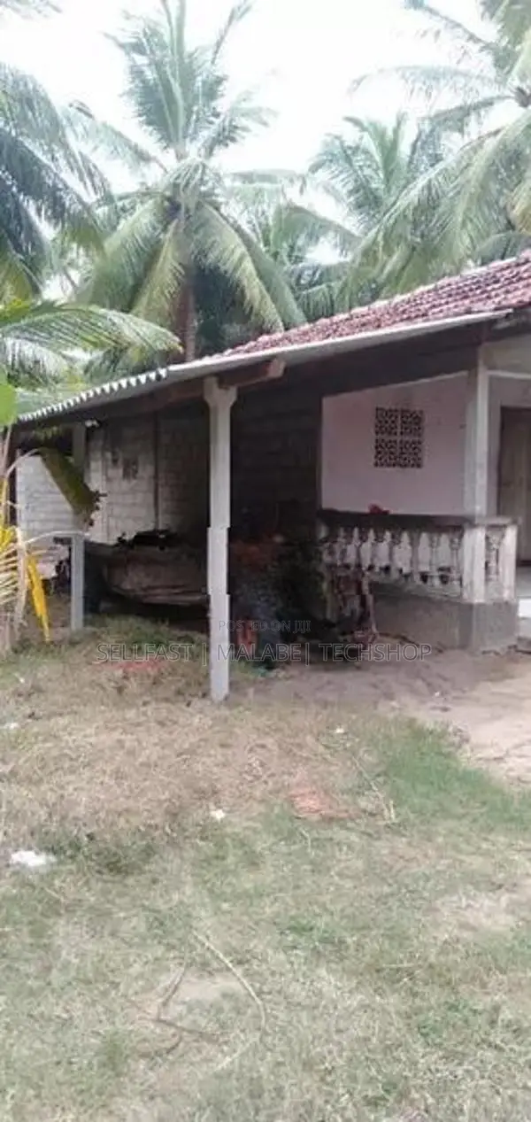 Coconut land for sale in Puttalam