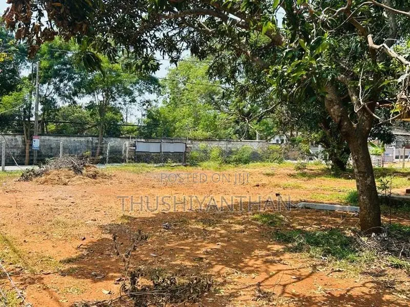 11 பரப்பு காணி விற்பனைக்கு காங்கேசன்துறை