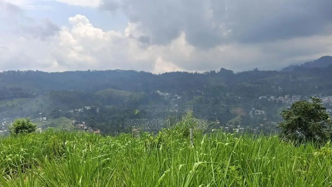 Valuable Land for Sale in Pussellawa Wahurupitiya