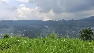 Valuable Land for Sale in Pussellawa Wahurupitiya