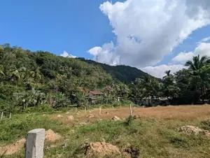 මීරිගම – අධිවේගී මාර්ගයට ලගින් වටිනා ඉඩම