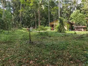 යක්කල වීරගුල පාරට ලඟින් පර්චස් 8 ක ඉඩම