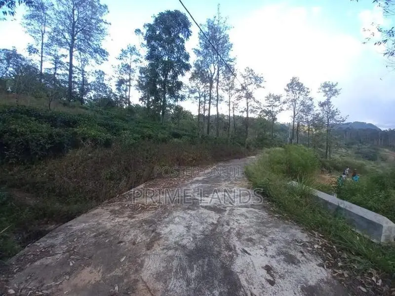 Land for Sale in Pussellawa Delta Estate